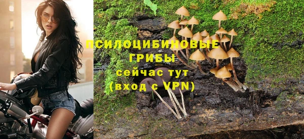кокс Абаза